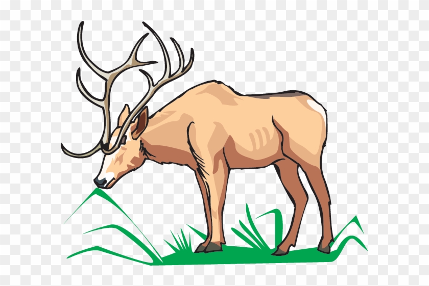 Elk Eating - Love Reindeer Pillow Case #190731