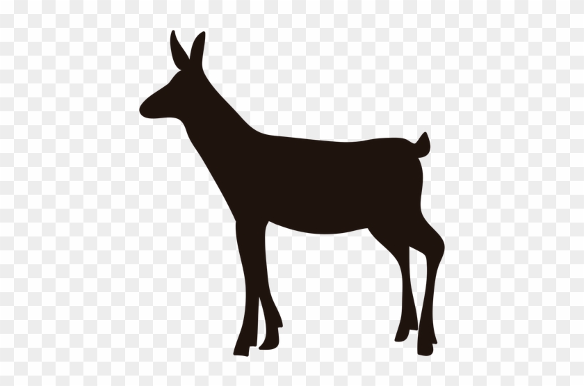 Download Free Photo Report - Donkey Svg #190765