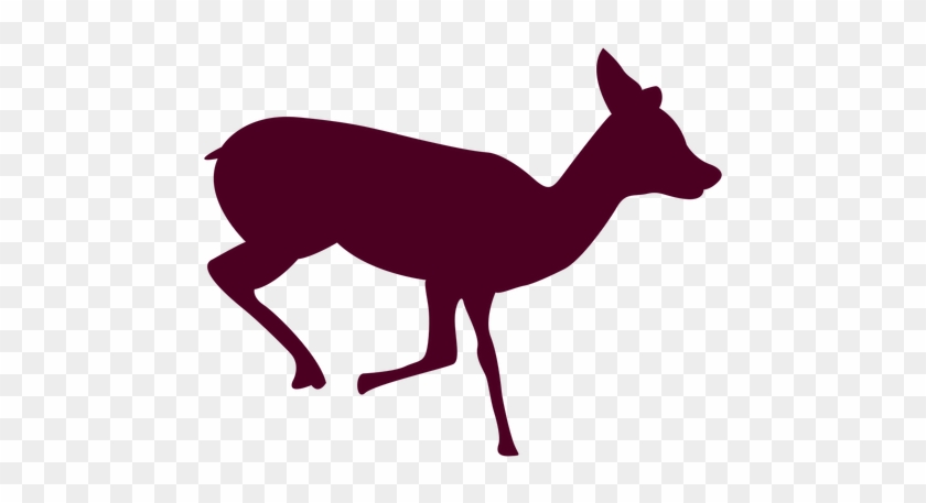 Deer Free Png Transparent Background Images Free Download - Deer Running Sequence 1 #190921