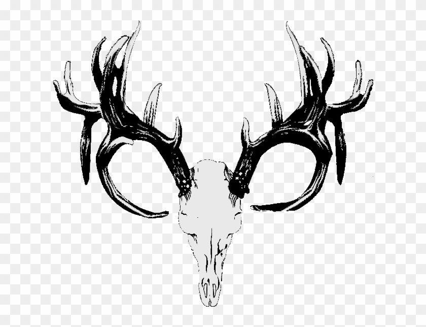 Vector #190992