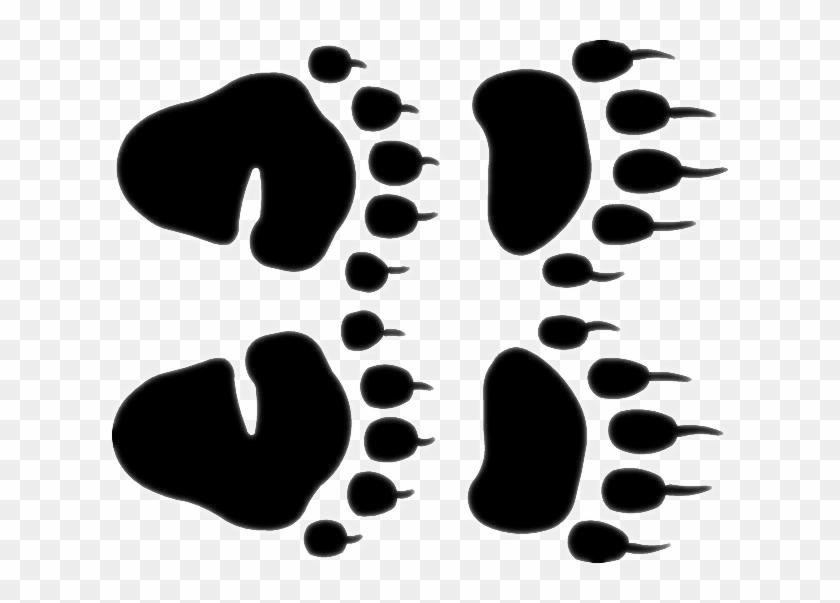 Tracks And Prints - Black Bear Paw Prints #191137