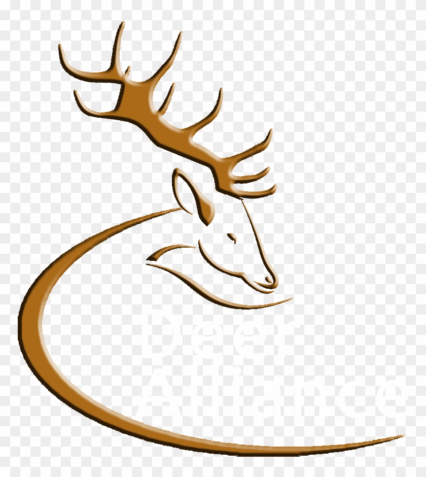 Official Best Buckin' Dad Ever Shirt For Deer Hunting #191286