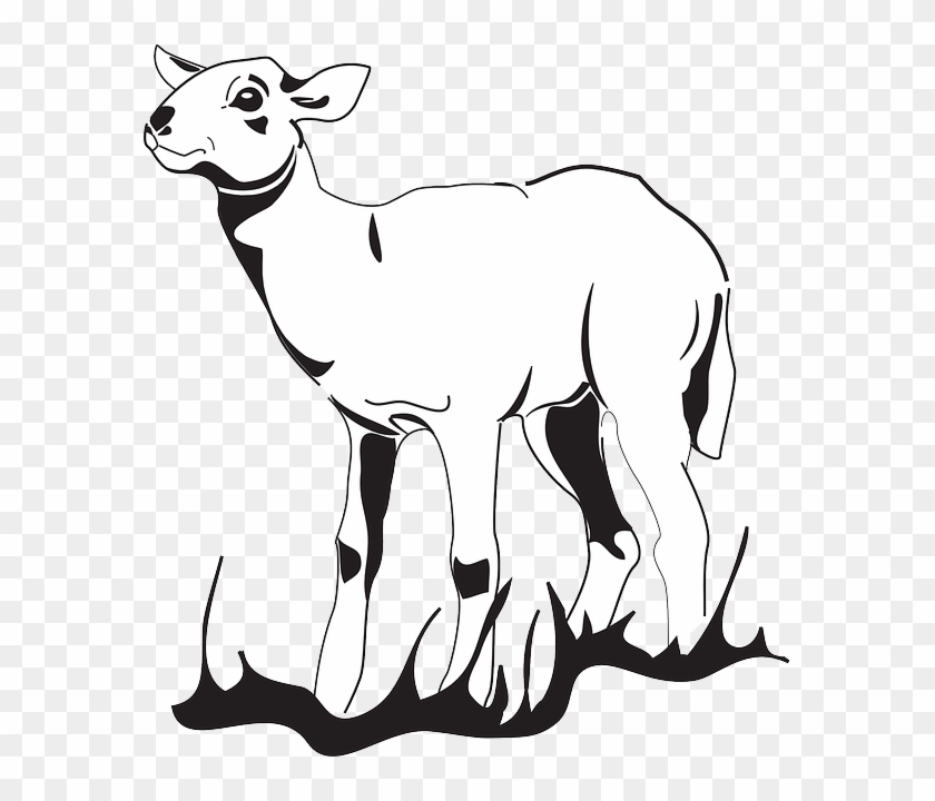 Grass, Looking, Art, Standing, Lamb, Animal - Transparent Siluett Lamm #191431