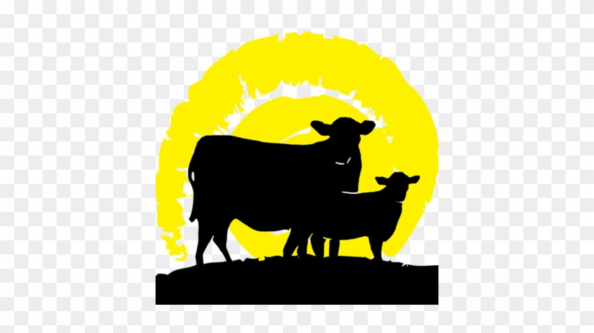 Sun Fed Beef - Bighorn #191577