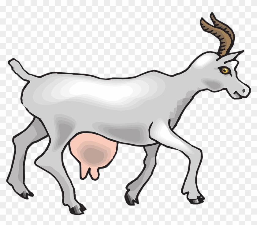 View, Goat, Side, Art, Walking, Animal - แพะ การ์ตูน Png #191766