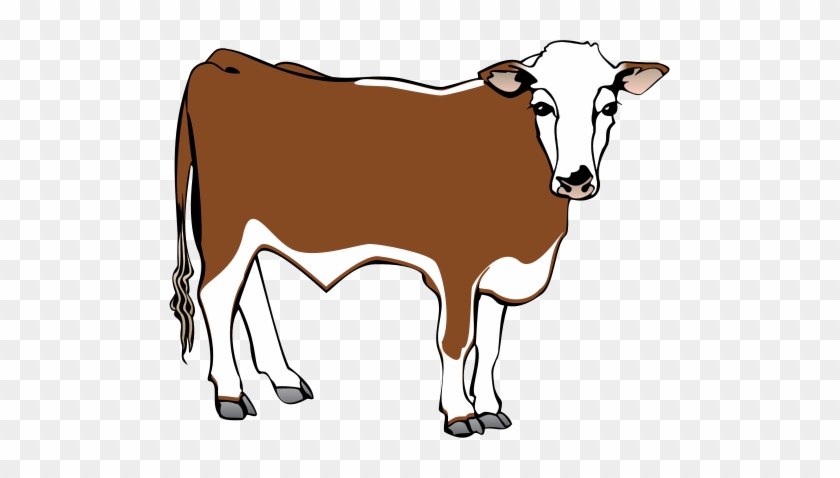 Hereford Clipart - Coloring Book #191869
