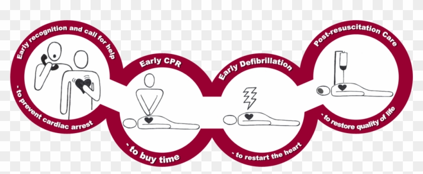 Chain Of Survival Fa - Basic Life Support Training #192352