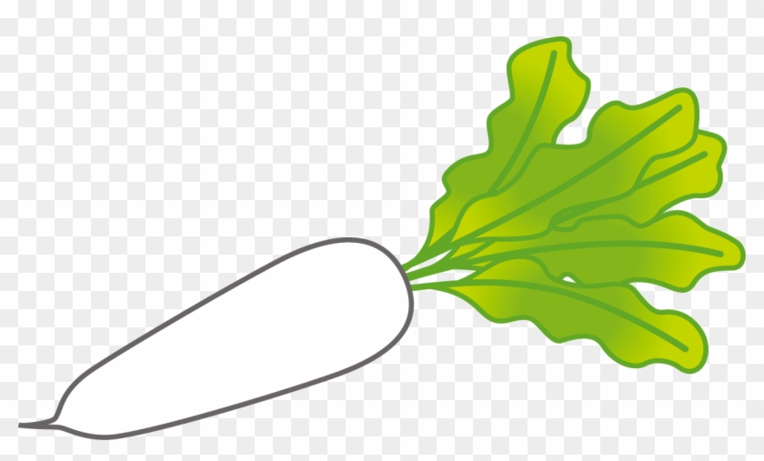 Daikon, Health, And Nutrition - イラスト 無料 大根 #193078
