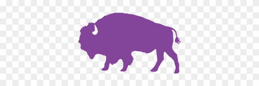 Staff Buffalo #1145165