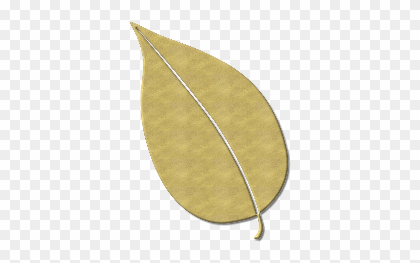 Leaves, Fall Foliage, Nature, Autumn - Autumn #1145669