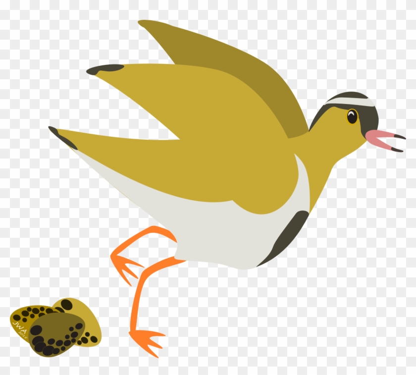 You Can Run Or You Can Hide - Duck #1145827