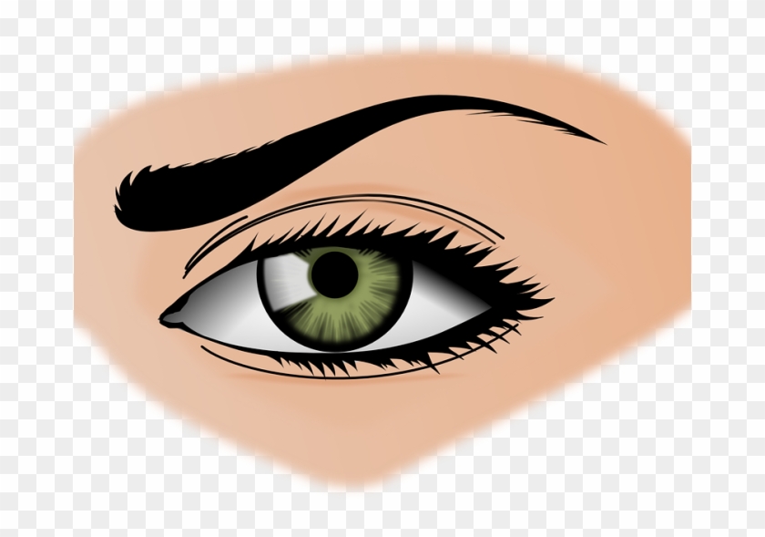Eye Color Human Eye Clip Art - Entertaining, Vol 6 - Image Sounds - Download #1146002