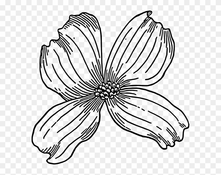 Dogwood Clip Art #1146226