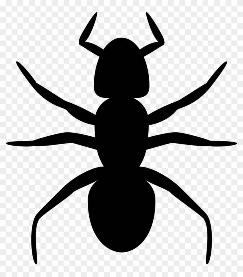 Ants - Clipart .svg #1146660