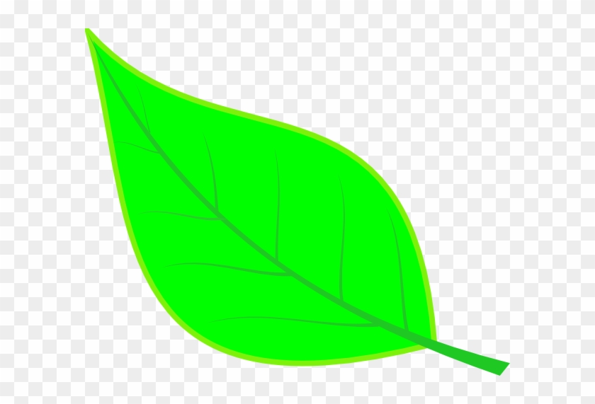 How To Set Use Cryptpoint Leaf 100 Svg Vector - How To Set Use Cryptpoint Leaf 100 Svg Vector #1147676