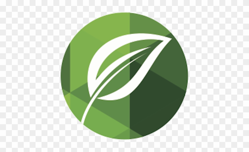 Final Logs Main Transpaprent Leaf - Contract #1147683