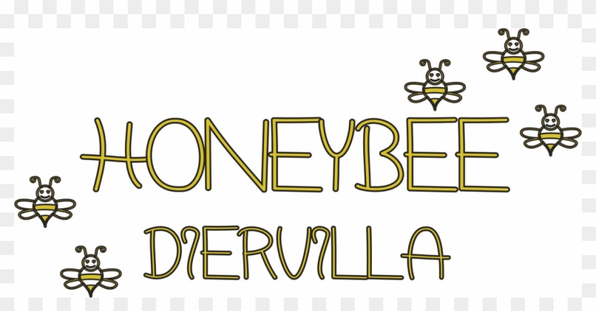 Diervilla Rivularis Honeybee Eu - Calligraphy #1149688