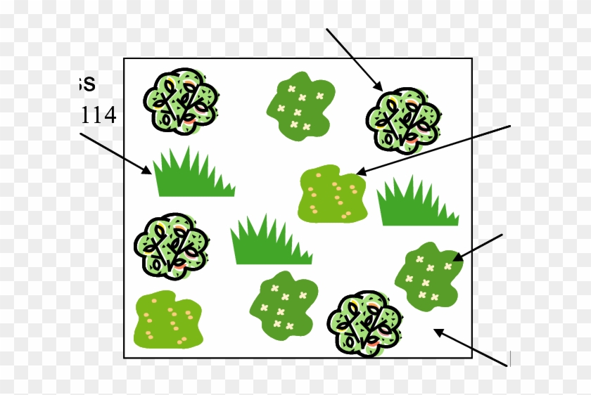 Schematic Of Barrier Surface Showing The Concept Of - Schematic #1149761