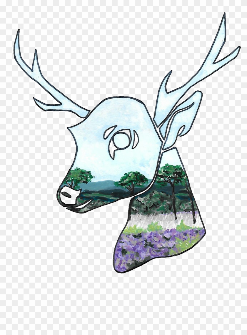Deer Forest School - Cartoon #1151741