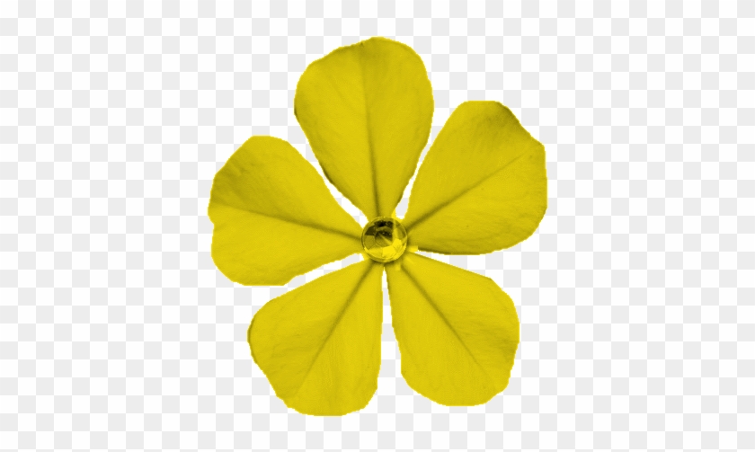 Free Flower Clip Art Images - Clip Art #1152682