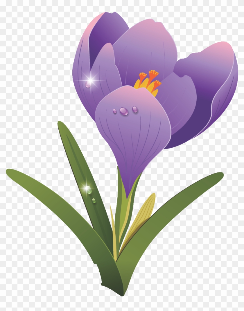 Pictures Angelina Hurst, R - Blomster Clipart #1153226