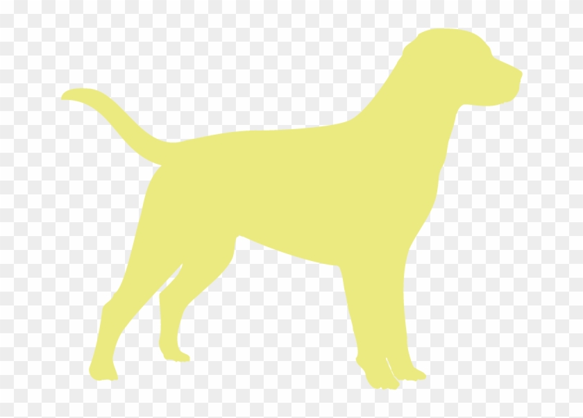 These Females Will Go Into Pet Homes, Only - Team Labradoodle Cute Dog Lover Pawprint T-shirt #1154423