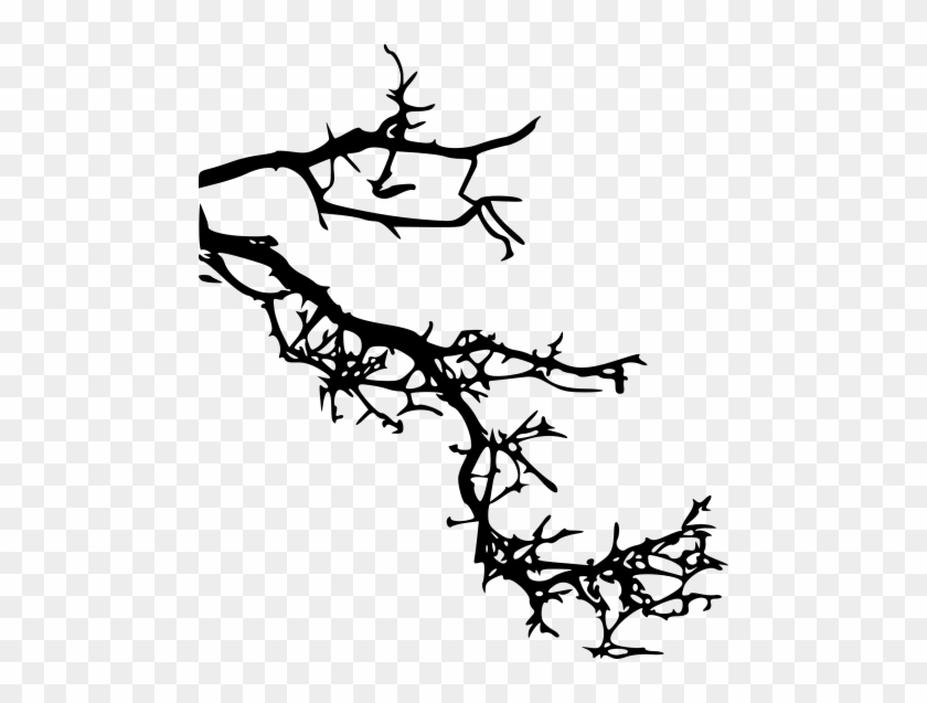 Free Png Tree Branch Png Images Transparent - Portable Network Graphics #1154796