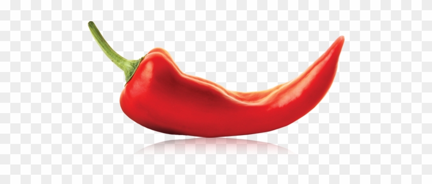 5978585 - Chili #1154893