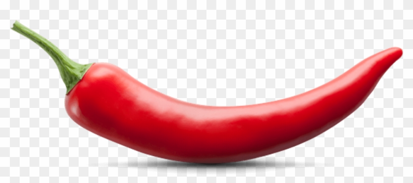 Chili - Red Chili Pepper #1154901
