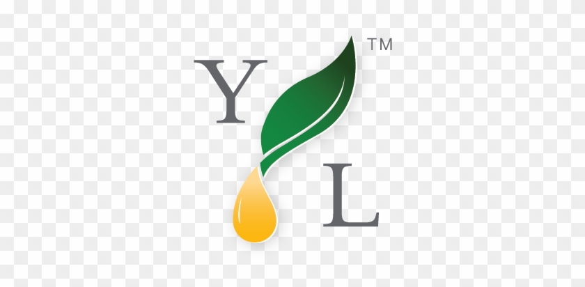 July's Essential Edge Is Here - Young Living Logo High Resolution #1155002