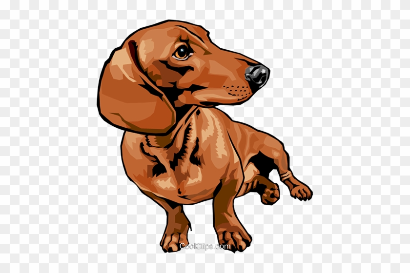 狗免版税矢量剪贴画插图 - Dachshunds Cartoon #1156024
