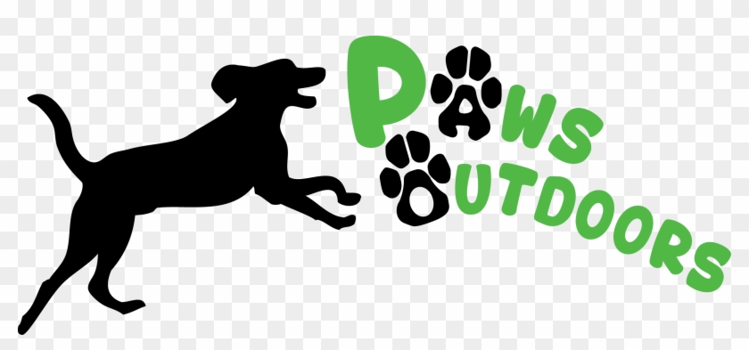 Dog Walking - Blog #1156229