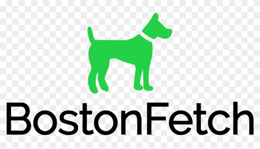   Dog Training #1156789
