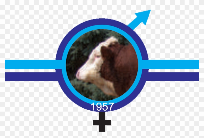 Screenshot #1156818