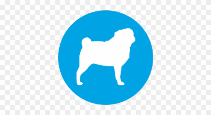 Ipugtv - Nyc Domain #1156992