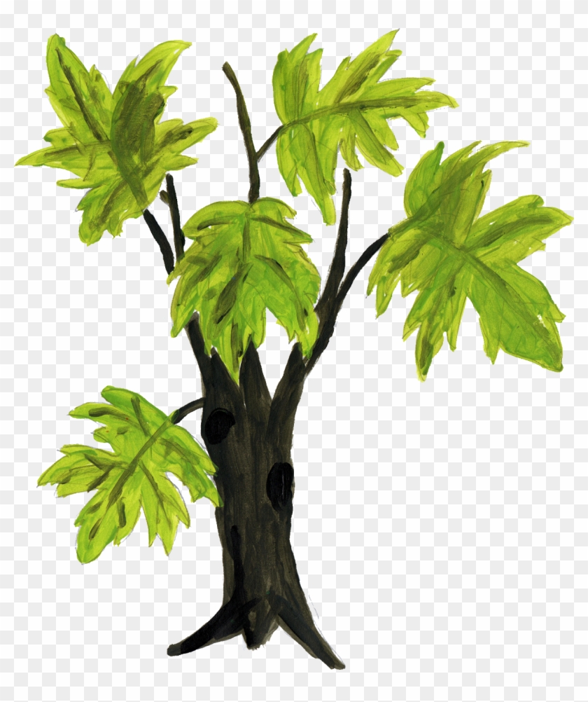 4 Tree Drawing Png Transparent Onlygfxcom - Drawing #1157605