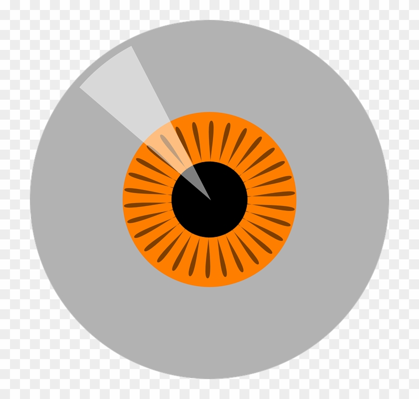 Orange, Hazel Iris Eye Realistic Vector Set Design - Portrait Of A Man #1157858