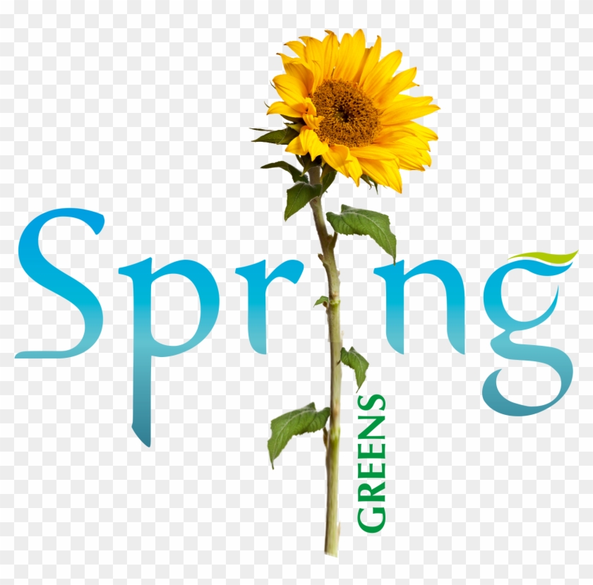 Spring Green - Spring #1157875