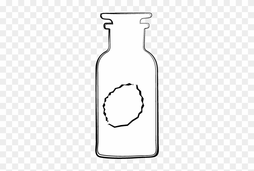 Apricot Seed - Illustration #1159408
