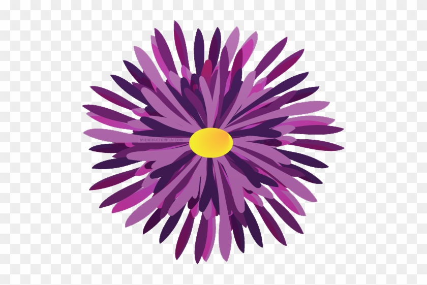 Vectors - Euclidean Vector #1159442