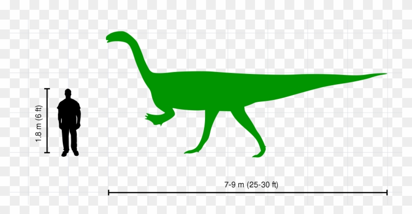 Open - Plateosaurus #1159536