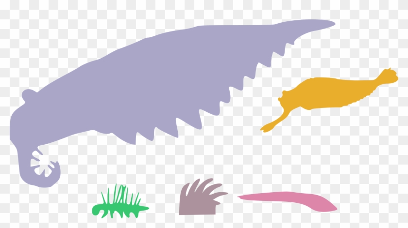 Open - Anomalocaris #1159570