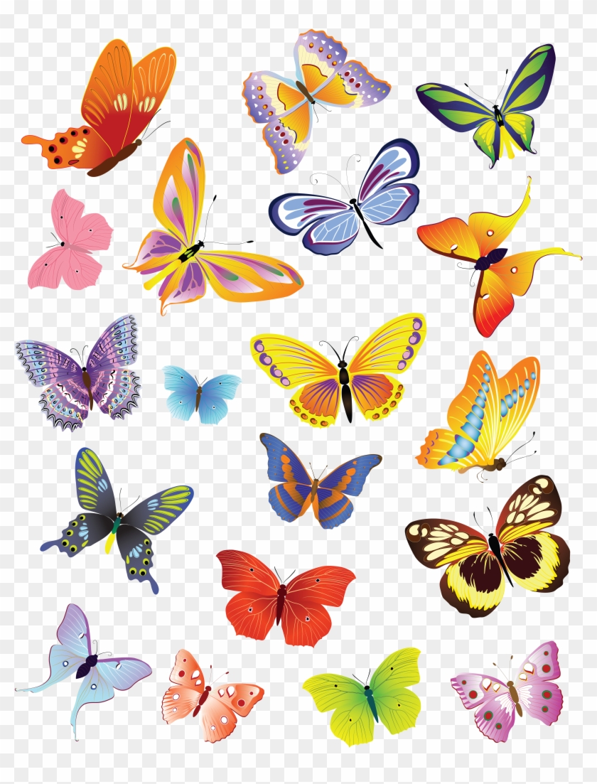Butterfly Drawing Clip Art - Butterfly Drawing Clip Art #1160906