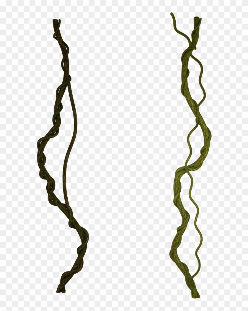 Vine Photo Manipulation Clip Art - Portable Network Graphics #1160930