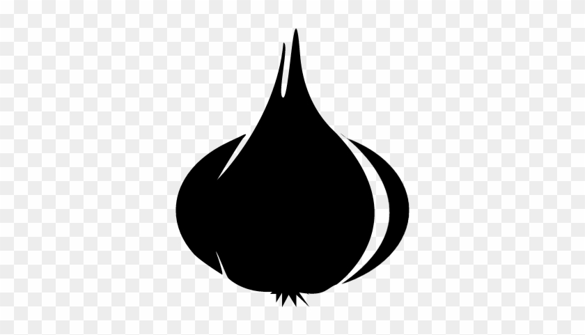 Bulb Of Garlic Vector - The Noun Project #1161296