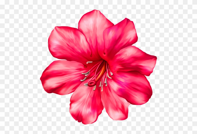 Plumeria Stencil Png - Png Blumen #1161656