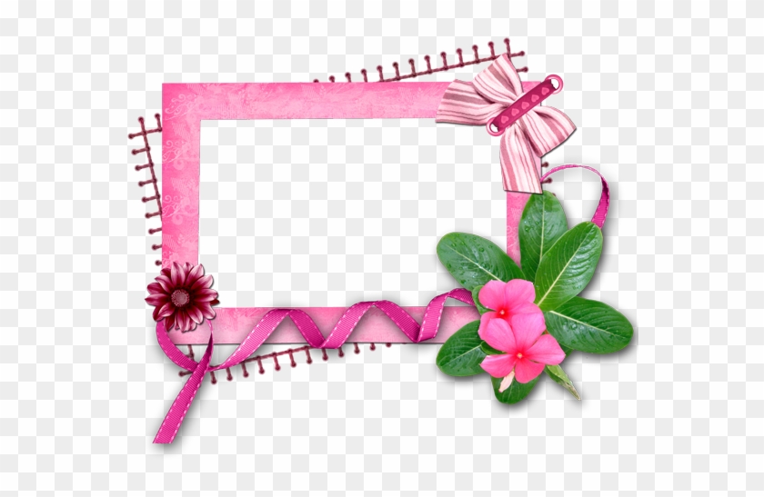 Flower Frame,กรอบรูปดอกไม้สวยๆ ชุดที่2 กรอบรูปสีชมพูหวานๆ - การ ถ่าย ละออง เรณู #1161830