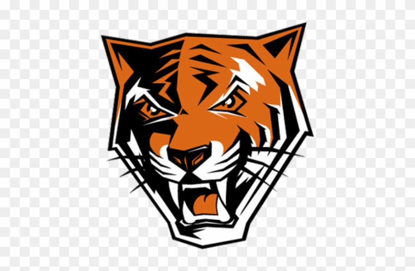 Buffalo State Women's Basketball Gets First Postseason - Buffalo State Bengals Logo #1161836