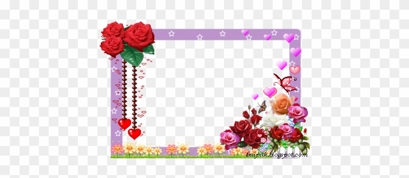 ดู"กรอบรูปดอกไม้ ทั้งชุด - Junflower1.gif Note Cards (pk Of 20) #1161899
