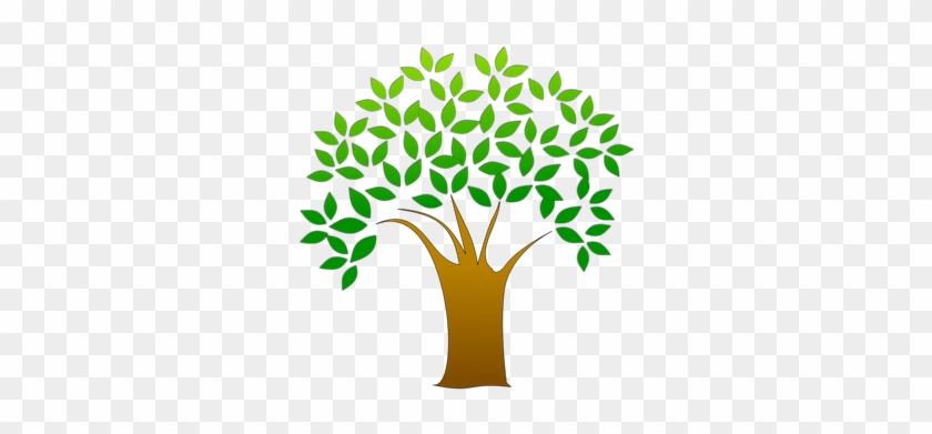 Plants Are Observable And Concrete Objects - Tree Clipart Transparent Background #1163967